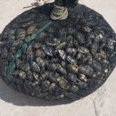 딸부자집민박 이미지