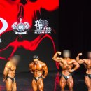 빌드프로짐 이미지