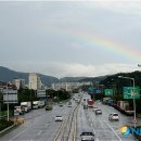 무지개 뉴시스
