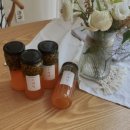 단스부띠끄 이미지