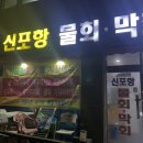 신포항막회물회 네이버블로그
