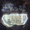 서울 근교 한국 동굴 대탐험 (feat. 광명동굴 )