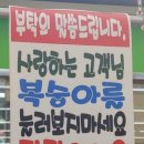 업투 - 강남구 테헤란로98길 16 | 업투