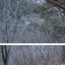 제808회차 12/20 통영 벽방산(650.3 m)~천개산(524.5 m)산행예약 신청 이미지