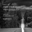 에스엘에프앤비 이미지