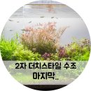 더치스타일+ 이미지