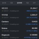 인컴소프트웨어
