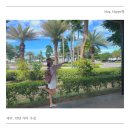 세부 막탄 구경 (Ssen Spa, 몽키트리, 스타벅스 막탄 뉴타운점) 후기