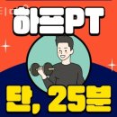 피티다움 이미지