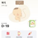 나의오후 | 자연분만 시도하다 제왕절개 한 나의 출산 후기