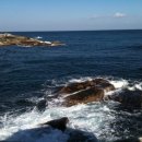 스트로마톨라이트 이미지