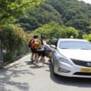 진안택시 이미지