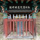 육선생 이미지