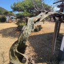 푸른 식물병원 이미지