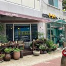 춘심이보리밥 이미지