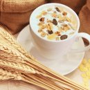 미미요거트 이미지