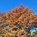 도덕산공원 이미지