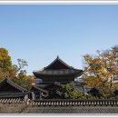 담장너머 이미지