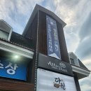 단양 다윈 리얼 후기: 맛집의 명성에 걸맞을까?