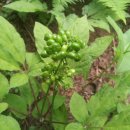 방글농장 이미지