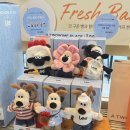 투썸X그로밋 콜라보 키링 내돈내산 후기 – 귀여움 한 스푼 더한 커피타임