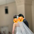 [👰‍♀️💍🤵‍♂️] 아이폰 스냅으로 결혼 본식을 완벽하게~! 업체 고르는 팁 엑셀 파일 공유 (서울 대구 결혼식...