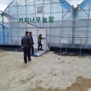 함평커피농장