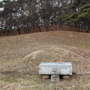 홍명호선생묘 이미지