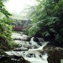 태안사계곡 이미지