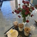 커피빈우 | 운정 수제케이크 맛집 아코리 디저트카페 주말 데이트코스 내돈내산 찐리뷰
