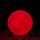 레드문(Red Moon) | 대구 젊코 술집 분위기 좋은 감성 펍 레드문(red moon) 방문 후기