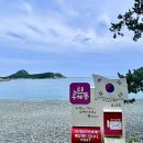 미라리 상록수림 해변 이미지