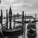 신성교통㈜ 이미지