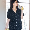 4231 이미지
