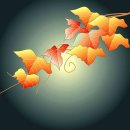 단풍잎 일러스트 이미지