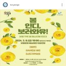 봄인디 보러와유 이미지