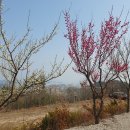 하동카페 벨라마레[내돈내산/후기/추천카페]