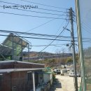 어,달달하리 이미지