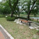 신라의달밤