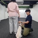 솜솜스테이 이미지