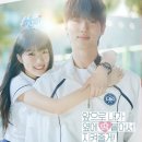 돌담할망보말톳칼국수 이미지