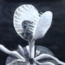 수미계원 이미지