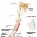 동의서면한의원 이미지