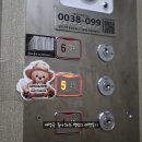 [홍대숙소]위치가 너무 좋은 마마스앤파파스 게스트하우스 후기