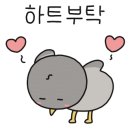 도마실국민체육센터 수영장 이미지