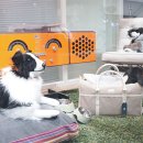 코코스퀘어 이미지