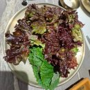 맛있는고깃집 | 정말 맛있는 다산동 고깃집 '산청한우' 솔직후기