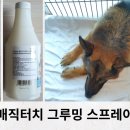 크라운 그루밍 이미지