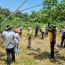 세종특별자치시농업기술센터 이미지