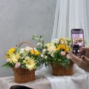 다올 플라워 이미지